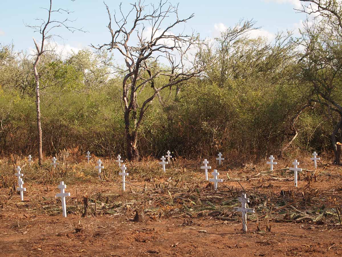 The Chaco War (PhD research 2011–2015)